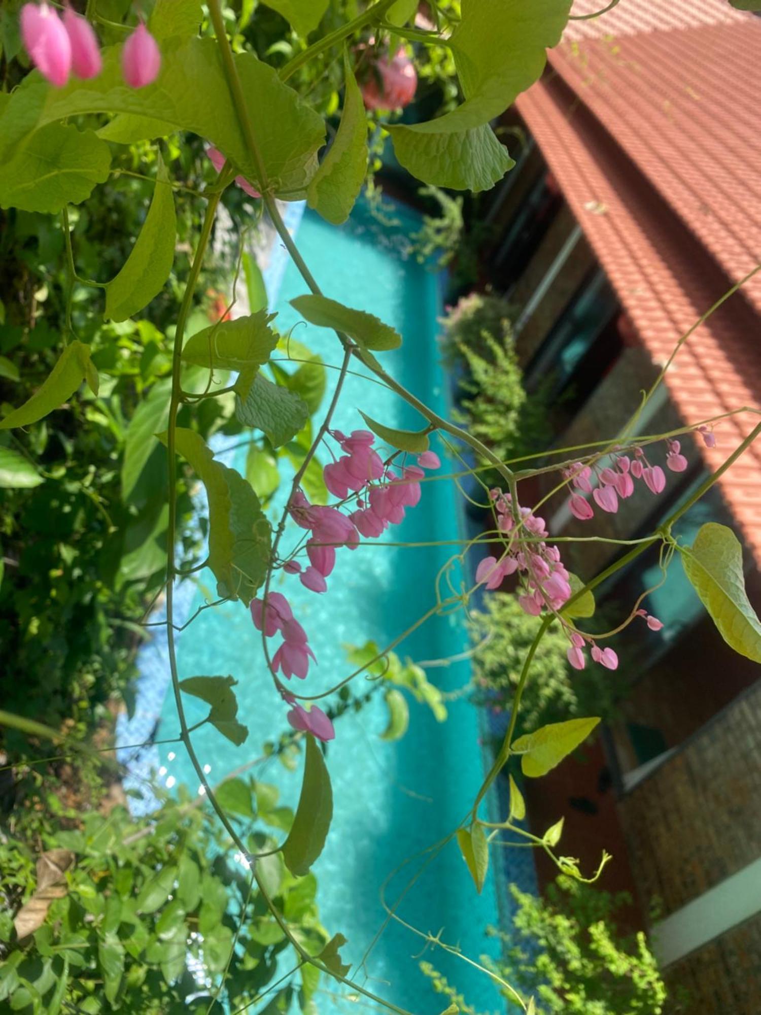 Sunshine Villa Thuy Bieu Hue Bagian luar foto